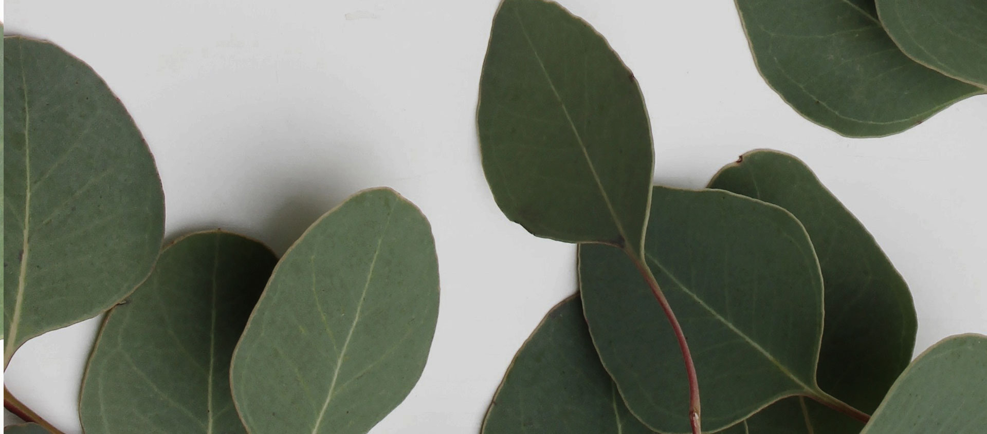 Взыскание ущерба от экологических правонарушений в Вахрушево